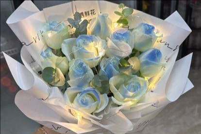 ���ݺ����ػ���