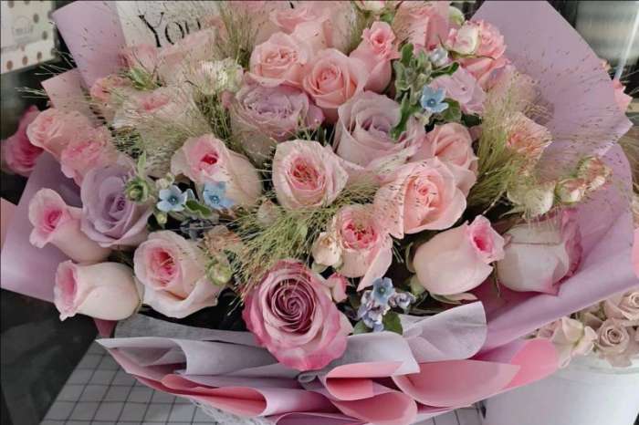 ���ݺ����ػ���