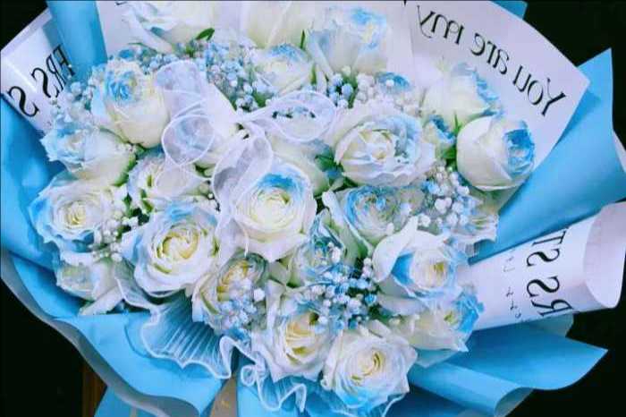 ���ݺ����ػ���