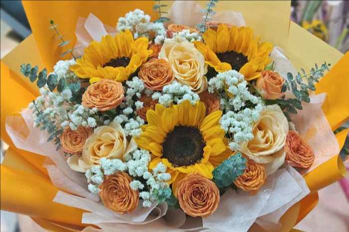 ���ݺ����ػ���